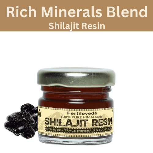 Shudh Shilajit